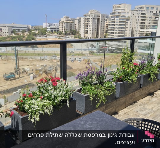 עציצים עם פרחים צבעוניים על מרפסת